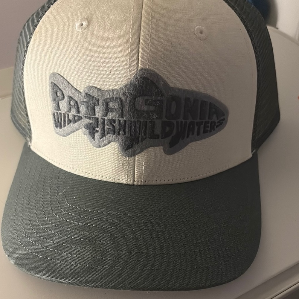 Patagonia Cream and Gray Logo Cap